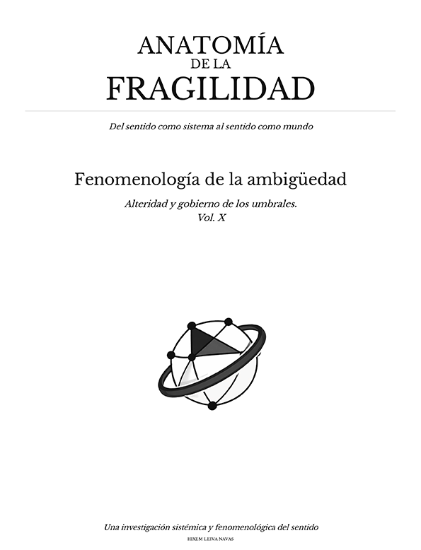 Imagen del Fenomenología de la ambigüedad